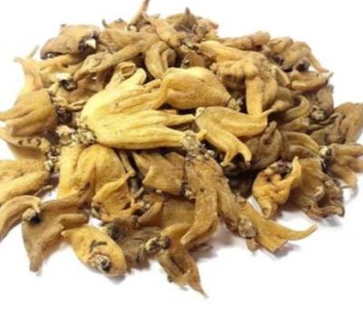 Buy Pure Salam Panja Online - Benefits and  Uses | Sri Herbal